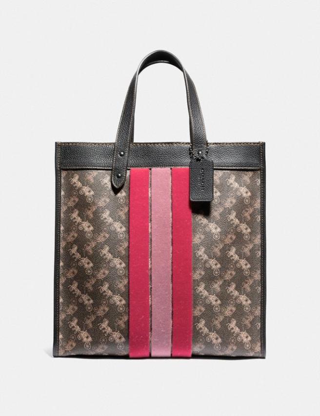 coach_stripe_field_tote